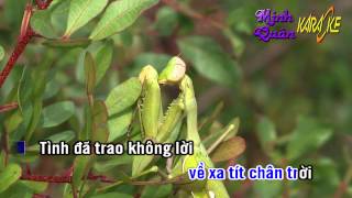 Karaoke  Lien khuc Tuan Vu những ngày xưa thân ái [upl. by Alekram]