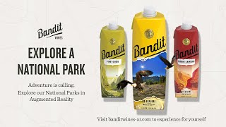 Bandit Wines AR Product Packaging Experience [upl. by Ambrogino]