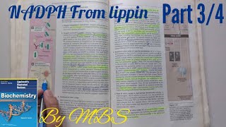 Lippincott chap 13  NADPH uses part 3 of 4 [upl. by Yauqram148]