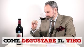 Come si degusta il VINO  Tutorial [upl. by Weasner]