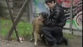 EastEnders 1994 Wellard the dogs first appearance Part 1 [upl. by Heiney]