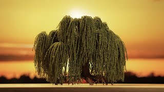 Make this DIY Weeping Willow Tree for JawDropping Terrain [upl. by Elleda]