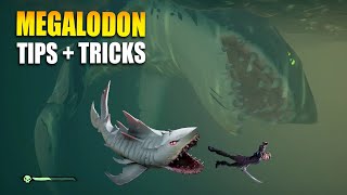 How to BEAT the Megalodon in Sea of Thieves 2024 Guide [upl. by Halsey]