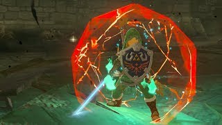 How To Get The Hylian Shield In Zelda BOTW [upl. by Eppesiug]