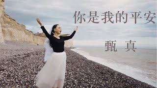 你是我的平安 · In You There Is Peace · 甄真主唱 · 幽谷清泉讚美詩 · 詩篇29篇1011 [upl. by Allerym]