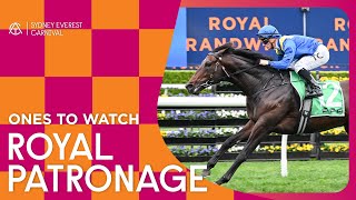 Royal Patronage  The Horse to Watch in the TAB Epsom [upl. by Veronika938]