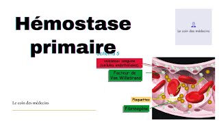 Hémostase primaire [upl. by Antoinette]