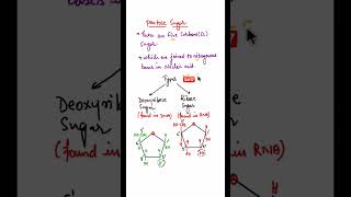 Deoxyribose amp Ribose Sugar shorts pentosesugar ribosesugar deoxyribosesugar [upl. by Dinnie]