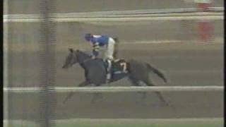 Mister Frisky Santa Anita Derby 1990  16 wins in a row [upl. by Ahpla]