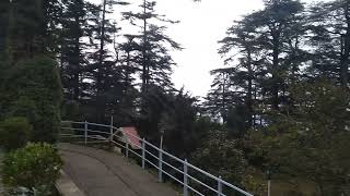 Shimla best hotel Woodville palaceBest food [upl. by Ibrahim82]