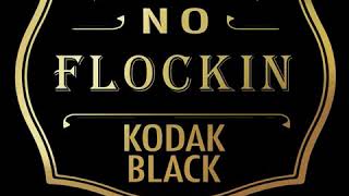 Kodak Black  quotNO FLOCKINquot Official Audio [upl. by Nelloc]