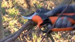 Professional electric pruning shears Prunion [upl. by Eneri]