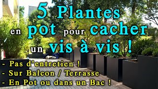 5 Plantes à Mettre en Bac comme Brise Vue  sur balconterrasse [upl. by Ssilem500]