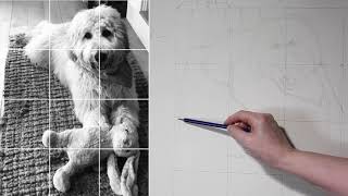 Furry Animal Drawing 1 Enlarging a Photo with a Grid [upl. by Pricilla]