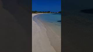 nature aruba youtubeshorts viralvideo 🇦🇼🌺💙 [upl. by Annam326]