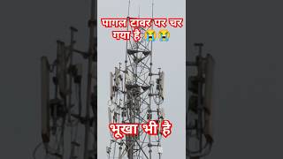 pagal 3 din sa tower par chara haa [upl. by Akvir]