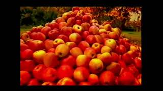 Bulmers Original Irish Cider Commercial 2007 [upl. by Chalmers]