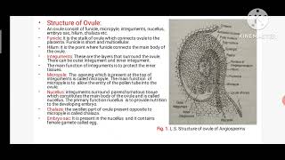 Structure of Ovule and Types of Ovules [upl. by Animor450]