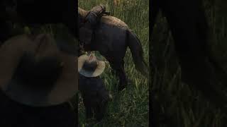 RDR2  How to clean a horse shorts rdr2 [upl. by Sheepshanks4]