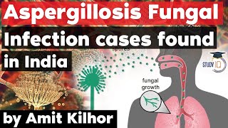 Aspergillosis Fungal Infection cases found in India  Deadlier than Black White amp Yellow fungus [upl. by Eilyac525]