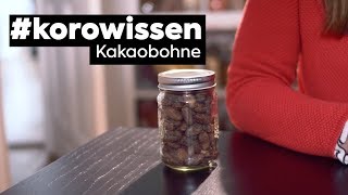 korowissen  Kakaobohne [upl. by Selrhc]