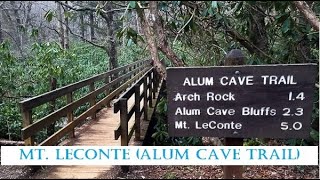 Hiking to Mt LeConte Tennessee via Alum Cave Trail The Great Smoky Mountain National Park [upl. by Scrope446]