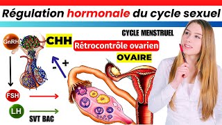 MECHANISM OF HORMONE ACTION [upl. by Harwilll]