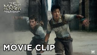 The Maze Runner Movie Clip quotRUNNERSquot in HD 1080p [upl. by Nilak860]