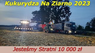 210 Kukurydza Na Ziarno 2023  Straciliśmy Na Dzierżawie Przez Niskie Ceny Kukurydzy [upl. by Aimerej818]