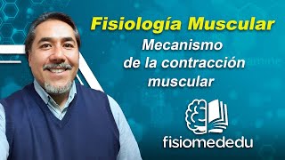 Mecanismo de Contracción y Relajación Muscular [upl. by Anahsor]