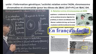 P3relation entre lADN chromosome chromatide et chromatine en français facile [upl. by Ynamreg]