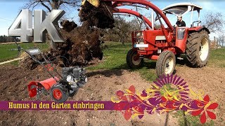 🌱 Boden vorbereiten im Garten 🌱 IHC Traktor und Hecht Gartenfräse für die Bodenarbeit im Biogarten [upl. by Rodi]