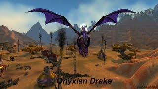 Mount Onyxian Drake  World of Warcraft [upl. by Adnima278]