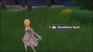 Genshin impact dandelion seed locationsHow To Farm This plant Guide [upl. by Anigger153]