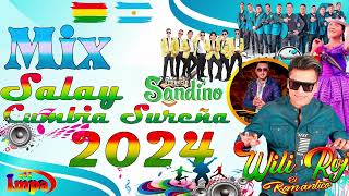 MIX WILI ROJAS CUMBIA SUREÑA CUMBIA CON SABOR PRIMICIA 2024 DJ IMPA [upl. by Nesline]