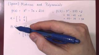 Matrices and Polynomials [upl. by Marlowe]