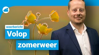 Weerbericht 31 mei Zomers weer [upl. by Htebilil]