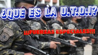 ¿QUE ES LA UTOI¿PARA QUE SE CREO FUERZAS ESPECIALES [upl. by Silohcin963]