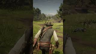 But I Helped That Guy ☹️  rdr2 gaming youtube shortvideo shortsfeed reddeadredemption [upl. by Emlen350]