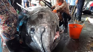 990 Lbs SuperHuge Bluefin Tuna Perfectly and Precisely Cut [upl. by Yllus137]