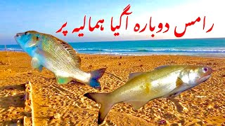 himaliya fishing hawkes bay fishing hawkes bay himaliya  karachi fishing ramas fishing [upl. by Hui]