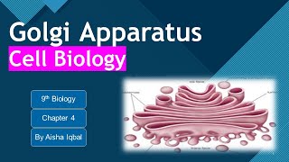 Golgi Apparatus Class 9 [upl. by Mazonson734]