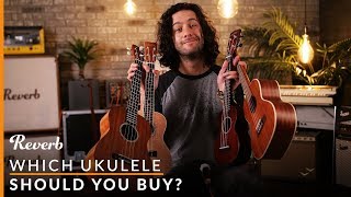 Which Ukulele Should You Buy  Reverb Buying Guide [upl. by Kcod]