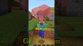 Minecraft Ama Domuz Görürsem Video Biter shorts minecraft minecraftshorts [upl. by Khudari455]