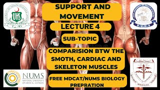 COMPARISON BTW SMOTH CARDIAC AND SKELETON MUSCLES  MDCATNUMS  TOPIC SUPPORT AND MOVEMENT [upl. by Rubio]