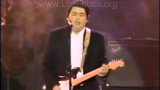 1987 Los Lobos quotLa Bambaquot LIVE at MTV Awards [upl. by Ribaudo]