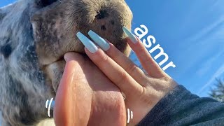 ASMR Outside on Acreage 🌾 Ice Concrete Animals [upl. by Otreblon864]