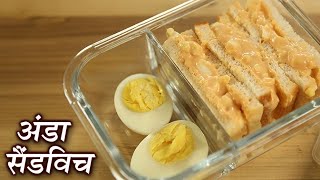 Boiled Egg Sandwich Recipe  Easy Egg Sandwich  Egg Mayo Sandwich Recipe  Yummy [upl. by Yralih151]