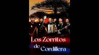 Corazón De MielLos Zorritos De Cordillera 2023 lo nuevo 🎵🎵🎵 Alumine Neuquen [upl. by Bajaj]