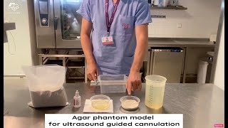 Agar phantom model for ultrasound guided cannulation [upl. by Felise]